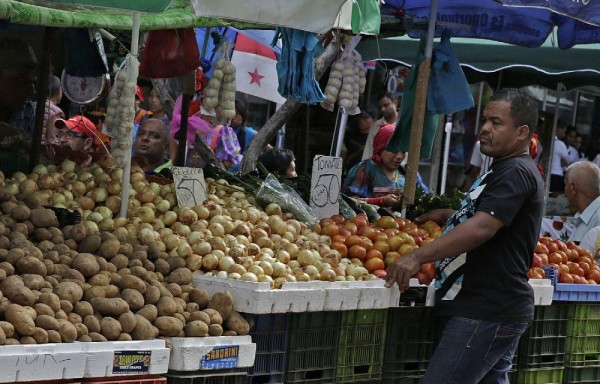 Producción de cebollas, 14 años en caída libre