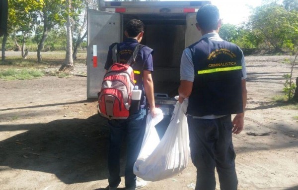 Limpiaba el monte y encuentra una osamenta