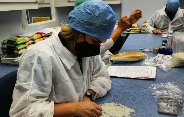 Analmo rechaza estudio de la Acodeco sobre la calidad de arroz 