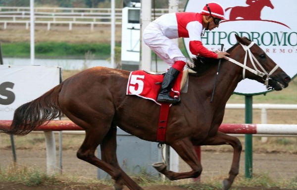 ‘Chantik' tuvo un gran año durante la temporada 2016 al lograr triplecoronarse en las hembras.