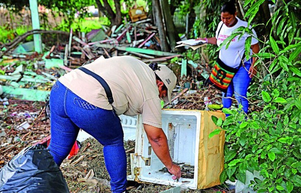 MINSA solicita a los ciudadanos eliminar los criaderos de mosquitos.