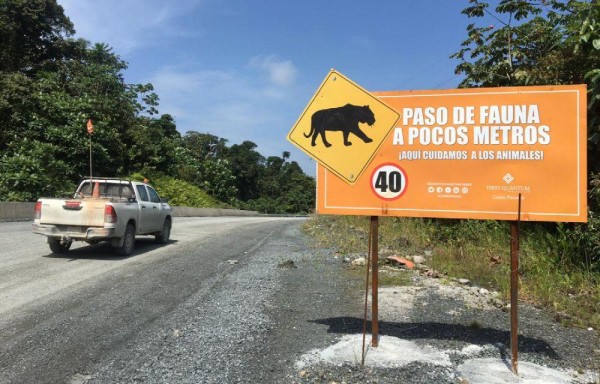 En total, son unos 21 kilómetros, en los cuales hay 11 cruces de fauna.