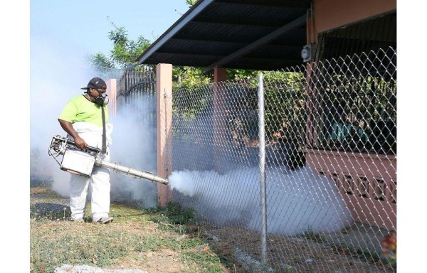 Fumigaron residencias en el corregimiento de Pacora