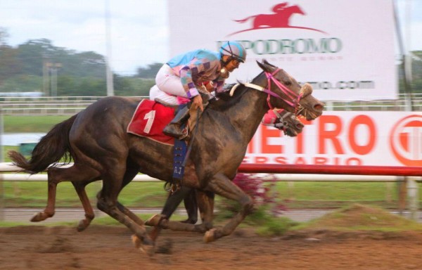 LA HÍPICA PANAMEÑA CELEBRA SU CENTENARIO | el La yegua estadounidense ‘Miss Conveyance' vino en plena recta desde los últimos puestos para anexarse el Clásico Centenario de la Hípica Panameña, en las riendas de Abdiel Jaén. La tordilla de 4 años de edad, sumó su undécimo triunfo con 24 carreras, y le peleó la carrera a la favorita ‘Retwittear' hasta los últimos metros, logrando superarla. Atrás llegaron, ‘Retwittear', ‘Bella's Had Enough', ‘Lethal Speaker', y cerró ‘Miracle Strike'. La carrera se desarrolló en fraccionales de 24 segundos los 400 metros, 48.1 quinto los 800 metros, 1.13.2 quintos los mil 200 metros, 1.39.3 quintos los mil 600 metros, y 1.46.2 quintos los mil 700 metros de la carrera.