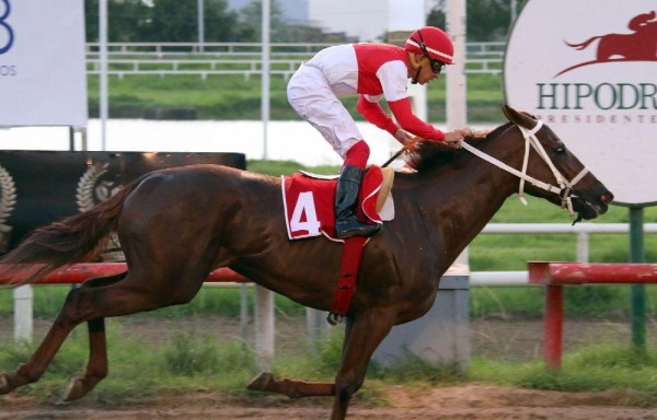 ‘Chantik', además de la triple corona nacional, irá por su cuarto evento clásico de 2016.