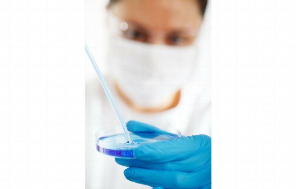 Células madres y pérdida de audición