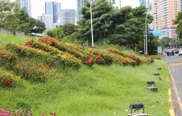 Contrato de mantenimiento de la Cinta Costera venció