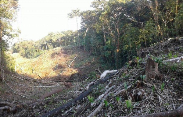 La devastación es notoria en la zona, los residentes de las áreas cercanas están preocupados