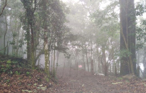 Chiriquí, increíble belleza natural