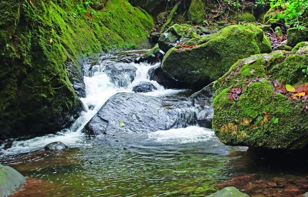 Pequeño río de agua fría y cristalina localizado en las tierras altas.