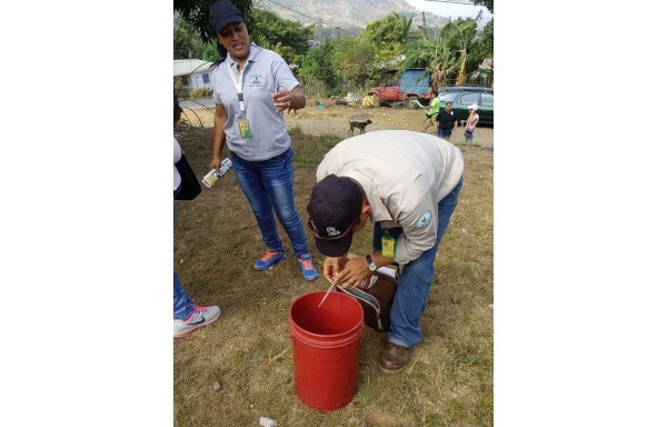 Unas quince sanciones fueron aplicadas en P. Oeste.