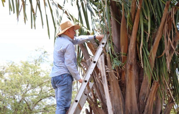 Castillo traspasan esta tradición de más de 20 años a su hijo Omar