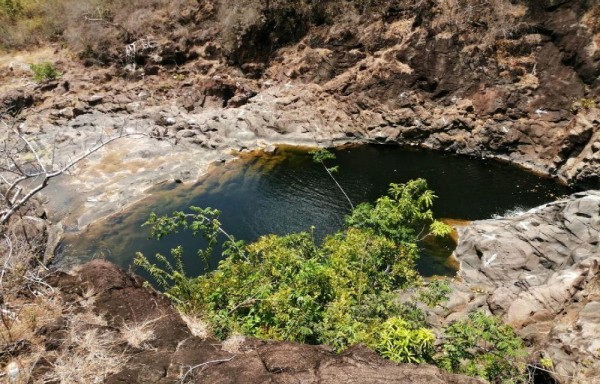 La entrada ¿Cuál es el costo? Solo $1.00.