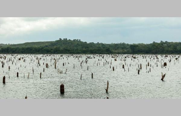 Encuentran cuerpo de tripulante que cayó al lago Gatún