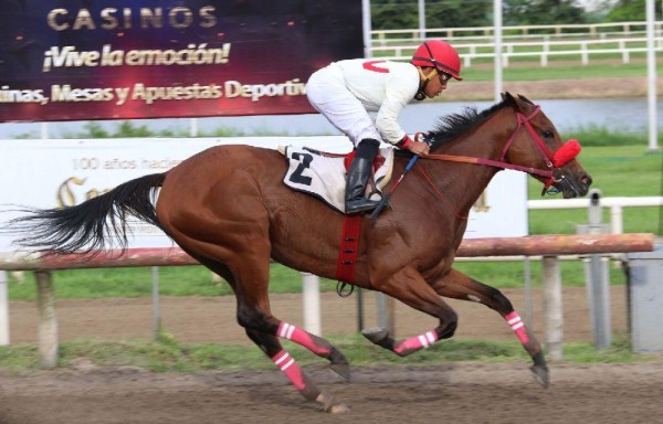 ‘Doña Mussetta' va por su tercera victoria del año.