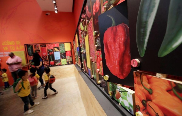 ¿Dónde está el ají chombo? Apetecida variedad picante