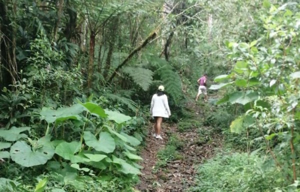 Para caminar se debe tener buenas condiciones, pues hay subidas de 45 grados.