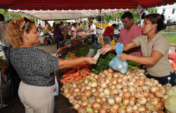 Evalúan la regulación de la lenteja, cebolla y el tomate.