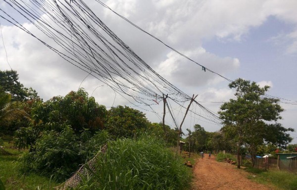 Telarañas eléctricas, afecta el 20% de la energía.