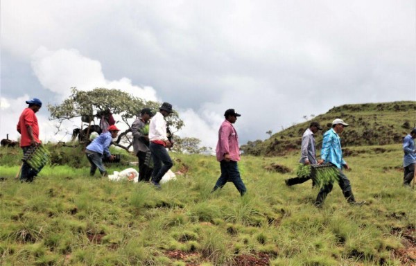 Comunidades rurales de Panamá sientan las bases para un nuevo corredor biológico