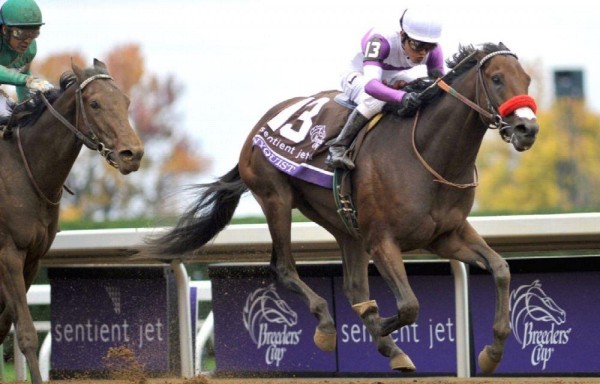 ‘Nyquist' parte como gran favorito para ganar la carrera.