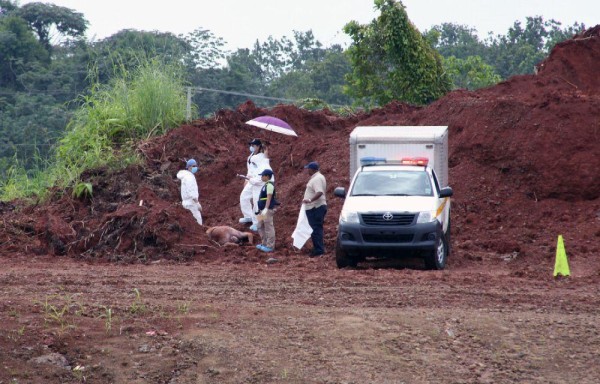 Los moradores en la calle Tumba Muerto, en Nueva Esperanza, 24 de Diciembre, estaban anonadados con este hallazgo.