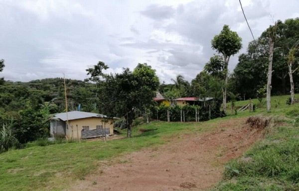 Ministerio Público en Panamá Oeste investiga el homicidio .