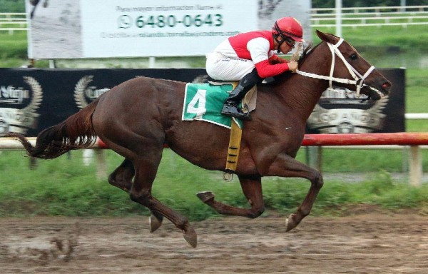 ‘Chantik' con Lorenzo Lezcano busca triplecoronarse ante los machos.