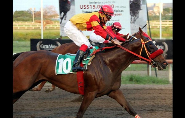 ‘Parigott', llegando a la meta conducido por Luis Arango.