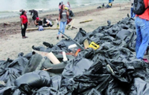 La educación climática está ausente en América Latina