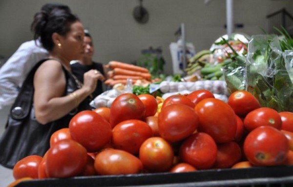 Tomateros llegan a acuerdo con planta procesadora antes de perder la producción