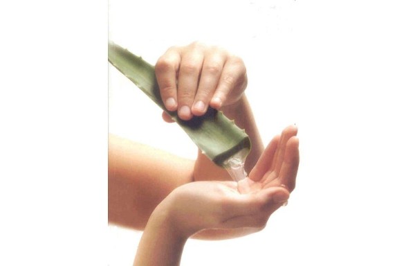Realice el tratamiento con aloe vera.