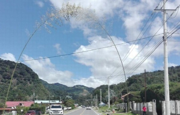 Tierras Altas es región muy turística.