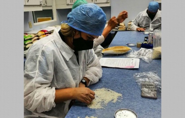 Analizaron muestras de diferentes marcas