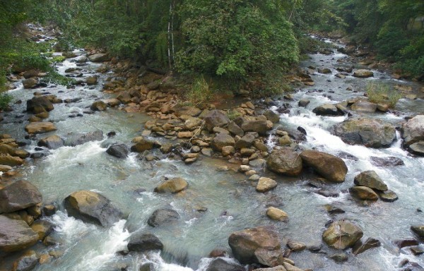 Inspeccionarán río.