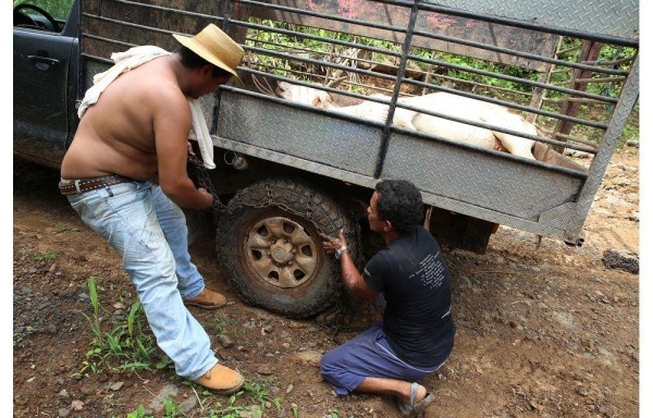 Ponen cadenas en ruedas de los autos.