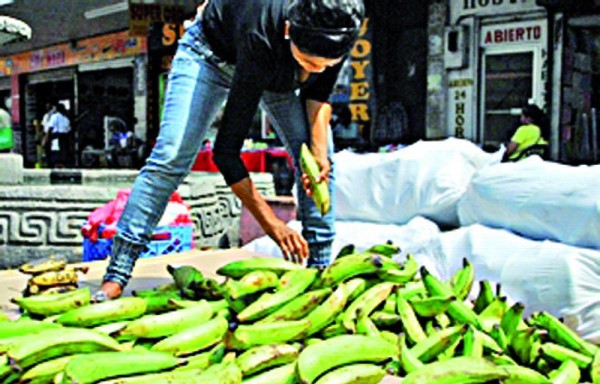 Productores afectados.