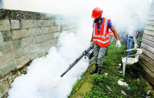 Minsa aplica fumigación en varias zonas para acabar el insecto.