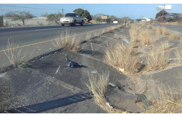 Escena donde perdió la vida una joven en Aguadulce.