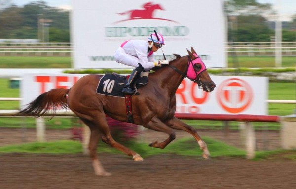 Prestigio fue el más rápido en esta carrera.