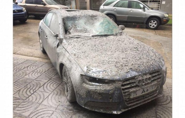 El vehículo modelo Audi A4 que le cayó la mezcla.