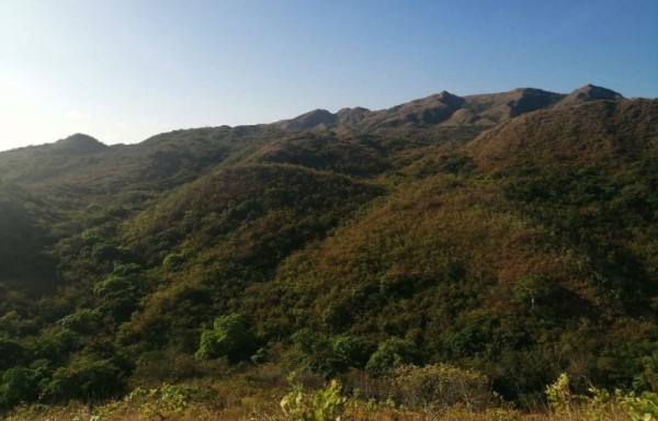 De la ciudad a Penonomé son 3 horas de viaje.