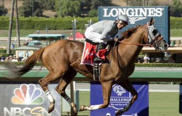 ‘California Chrome' viene de ser escogido como el Caballo del Año 2016.