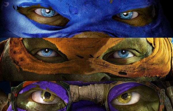 Las tortugas salen del caparazón