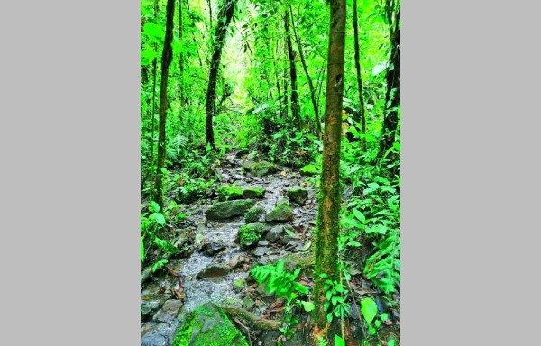 El trueno de muchas aguas