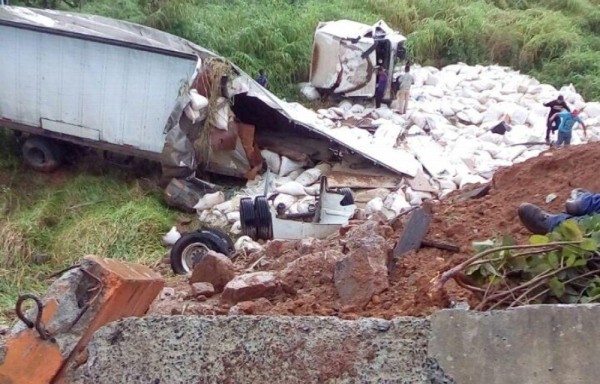 El camión iba cargado con ‘gallinaza', un abono para las siembras.