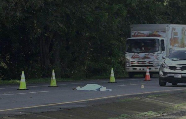 Se chocaron con un árbol y una mujer no sobrevivió