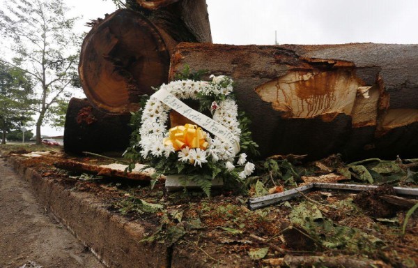 Una ofrenda floral fue colocada en el lugar donde ocurrió el fallecimiento del menor en Los Ríos.