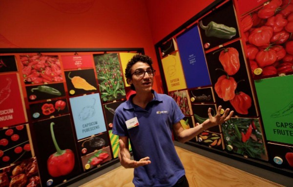 Diego Castillo, asistente de curaduría, habla con Efe sobre la exhibición Picante