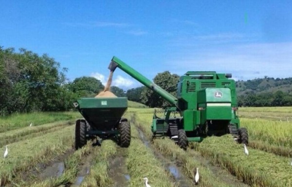 El financiamiento se dará por medio de los molinos.
